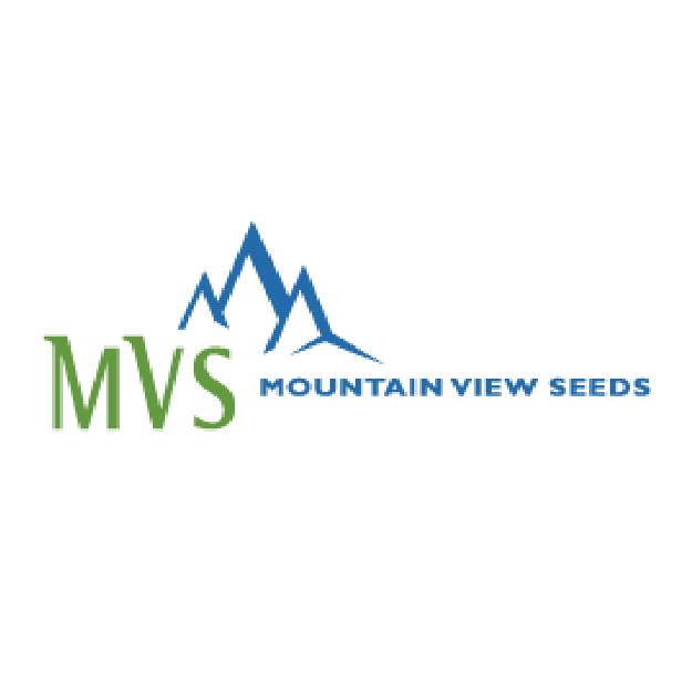 MVS