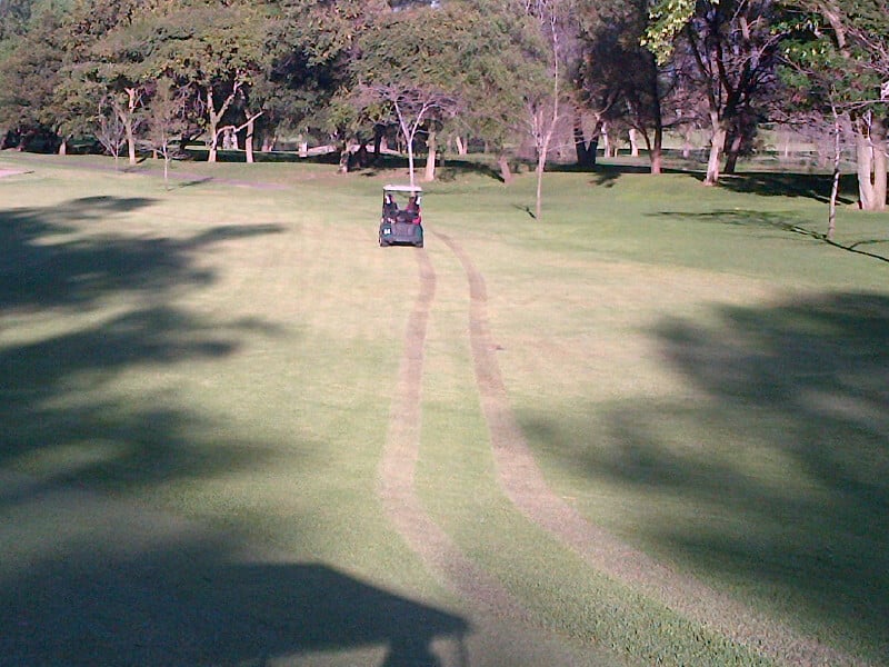 Two people in a golf cart drive on a golf course with damaged grass.
