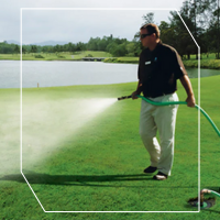 Golf Newsletter Aug 25 2