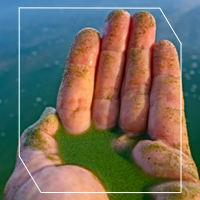 Golf Newsletter Aug 25 5