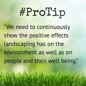 PRIMG Misc Pro Tip Environment