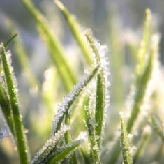 frost-tracking-issues