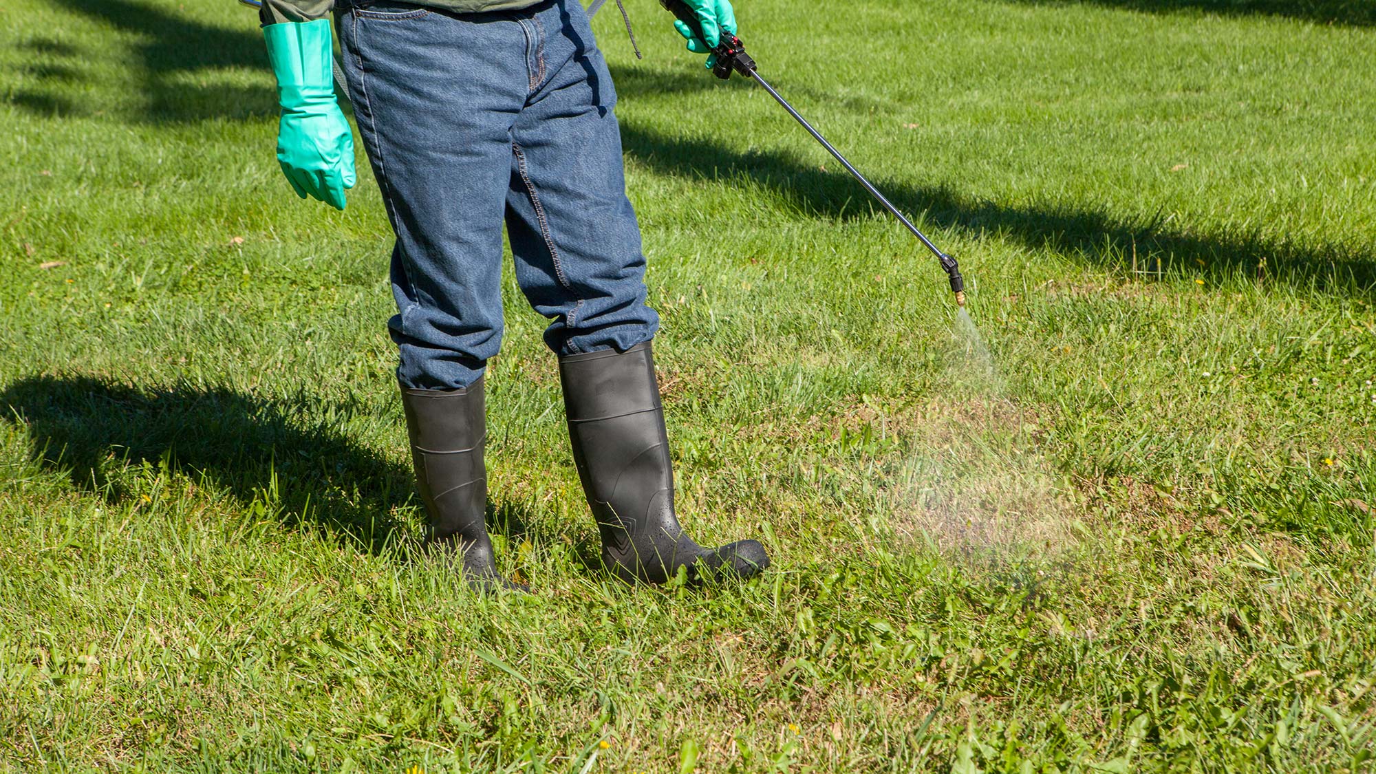 Person wearing long sleeves, jeans, protective boots, and gloves sprays grass for pest control.