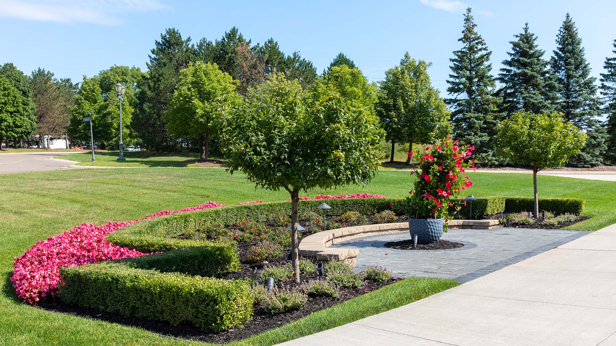 Landscape with manicured lawn, trees, plants, hedge, flowers, sidewalk, pavers, planter, and lighting.