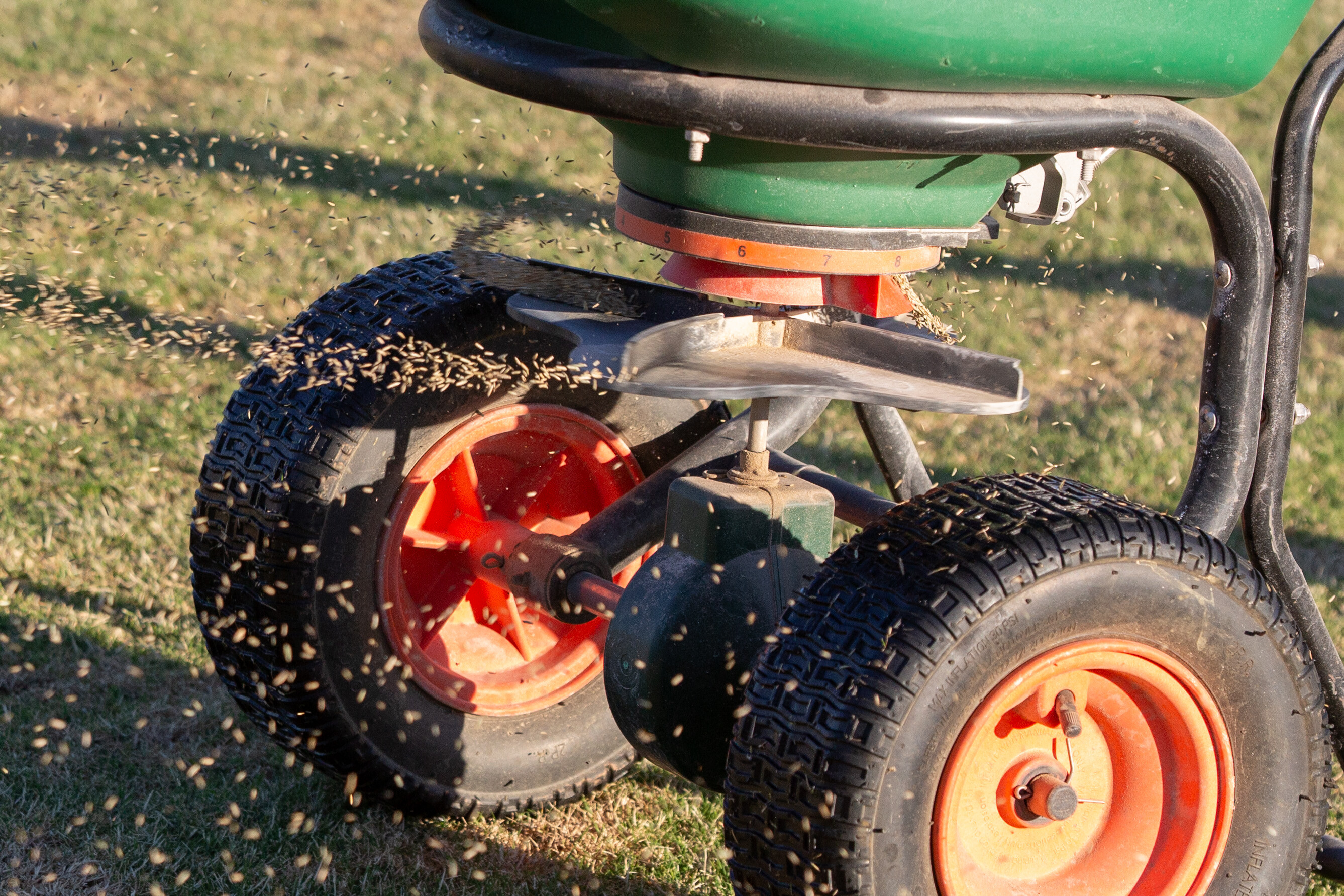 Spreader pushing out seed onto a grass field. 