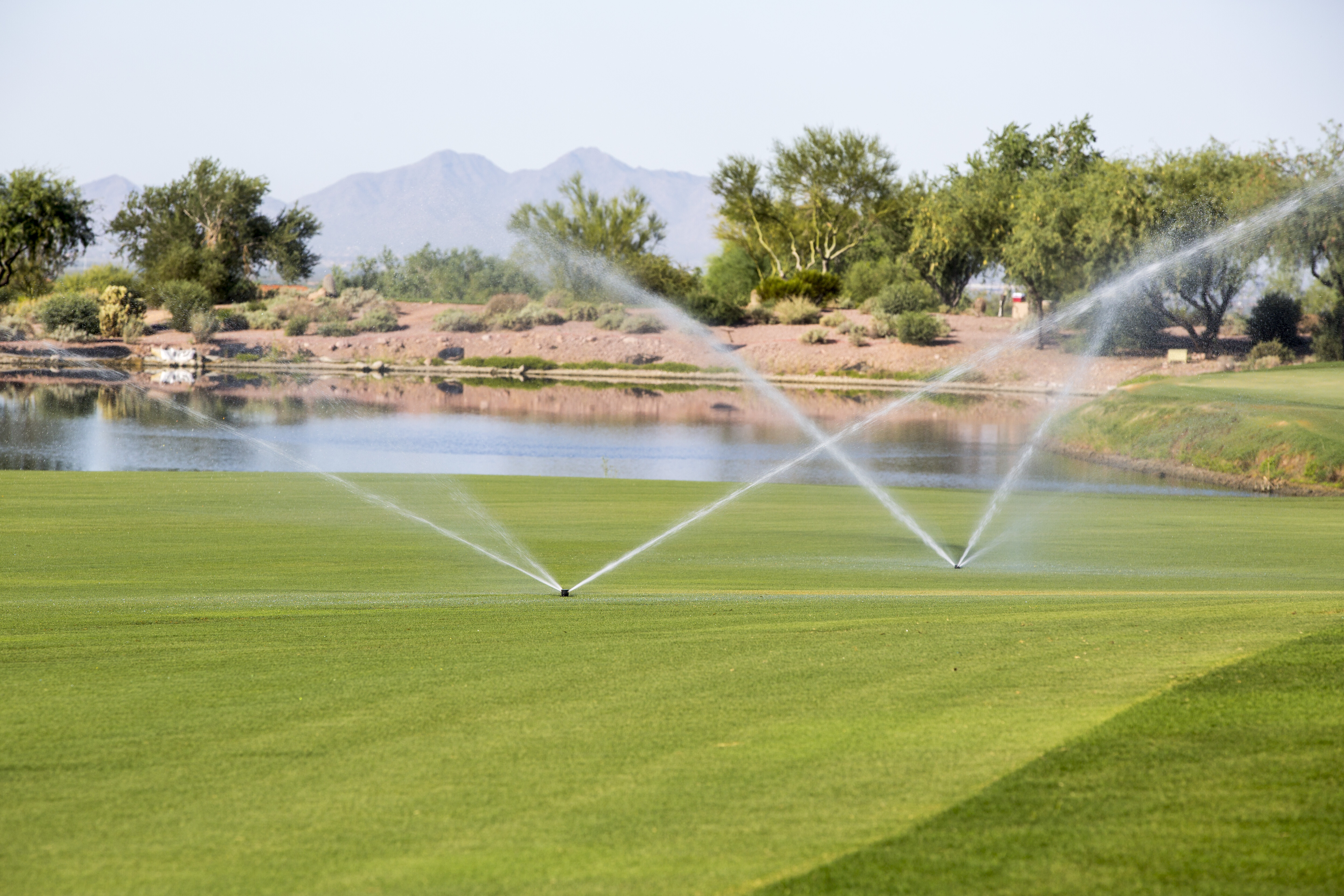 Green grass with sprinklers