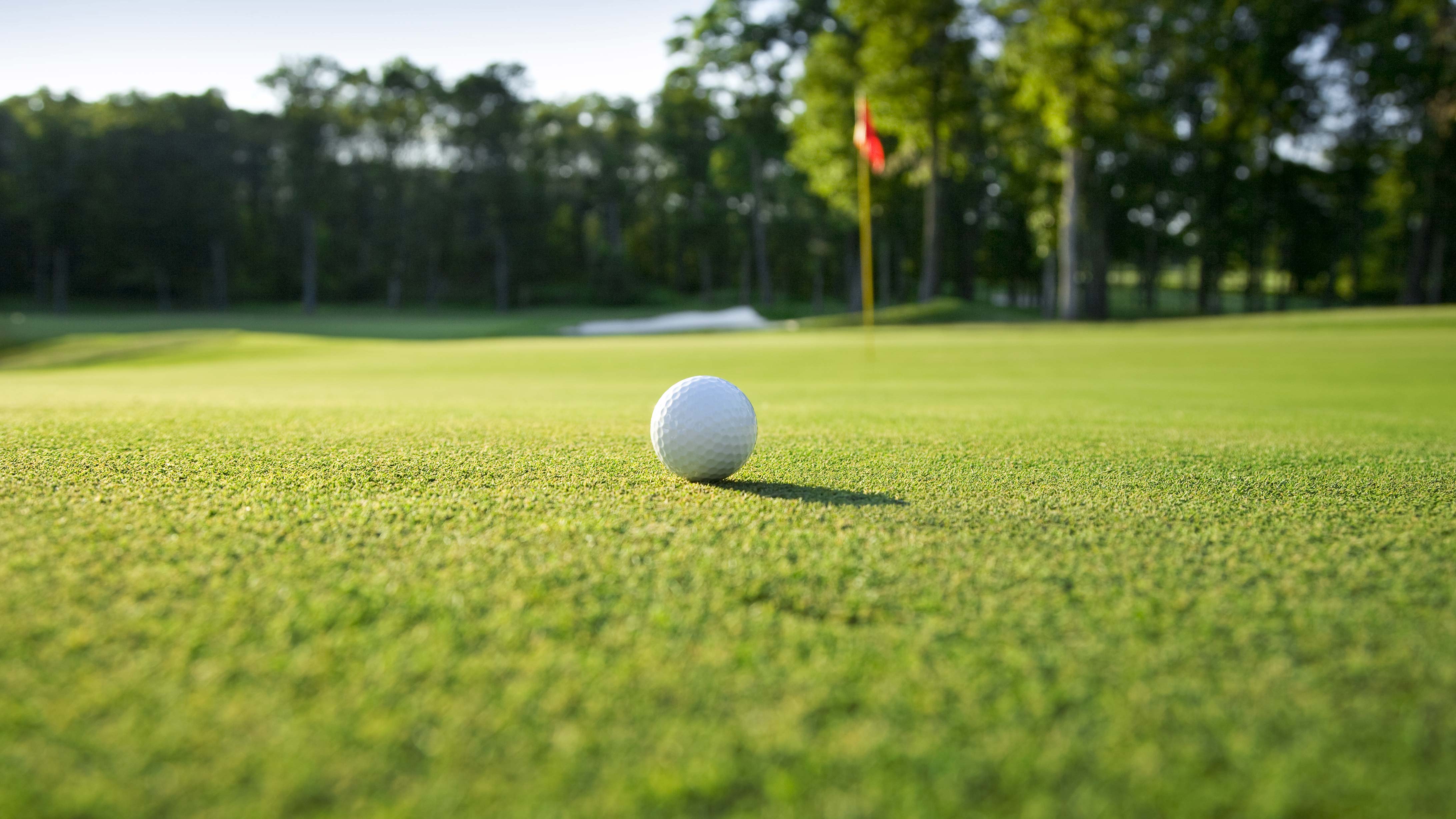 Gypsum salt application on turf
