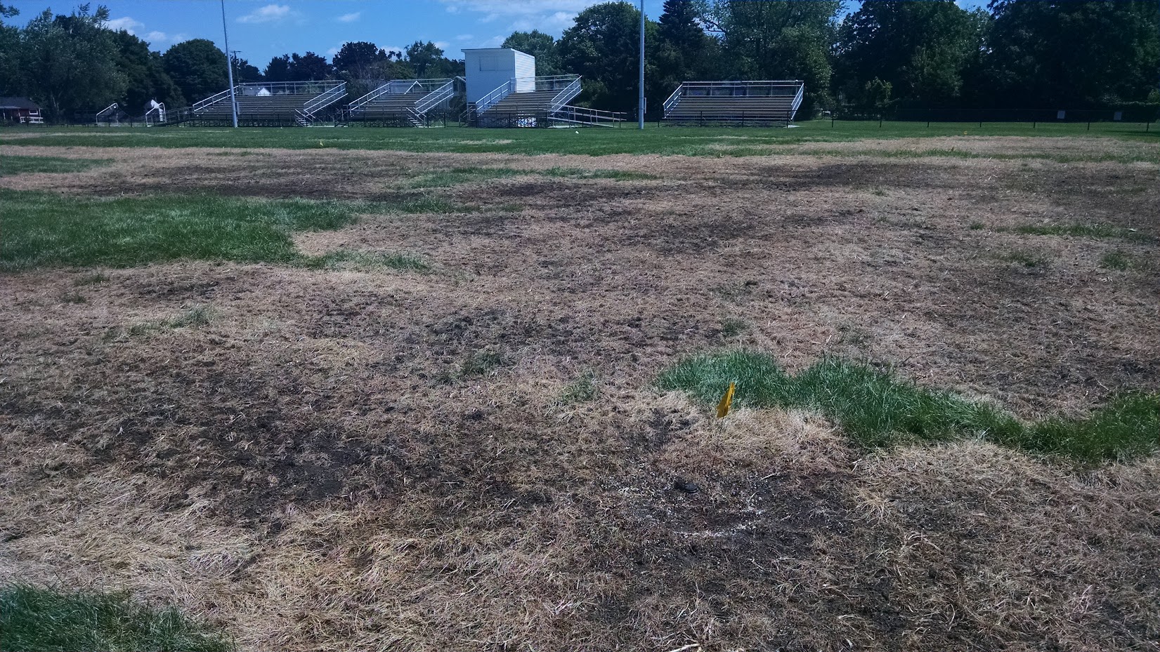 Sports field killer weed damage